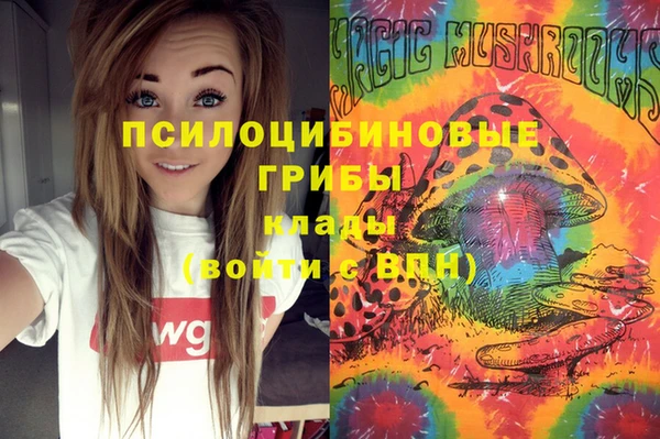 мдпв Арсеньев